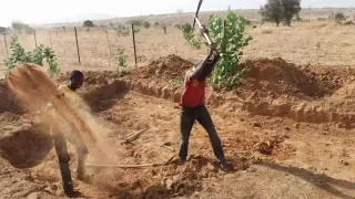 Travaux agricoles et développement des infrastructures à Kise Kura